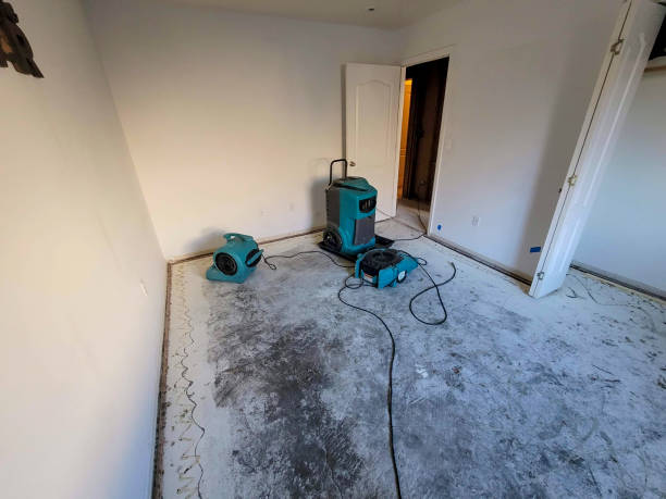 Best Professional water damage repair  in Ferndale, PA