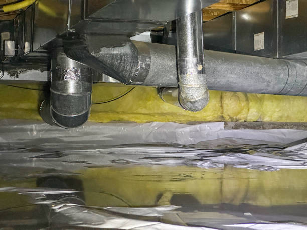 Best Mold removal after water damage  in Ferndale, PA